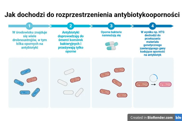 Mechanizmy oporności bakterii (część I) – skąd bierze się oporność na leki?