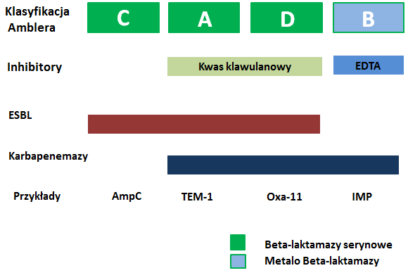 Mechanizmy oporności bakterii (część III) – inaktywacja antybiotyku